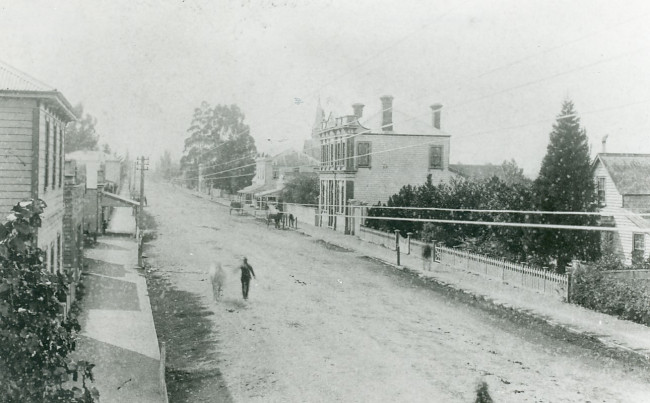 Greytown 1876 Main Street